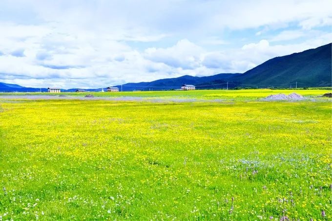 打卡香格里拉必体验的8件小事,来香格里拉必打卡的地方