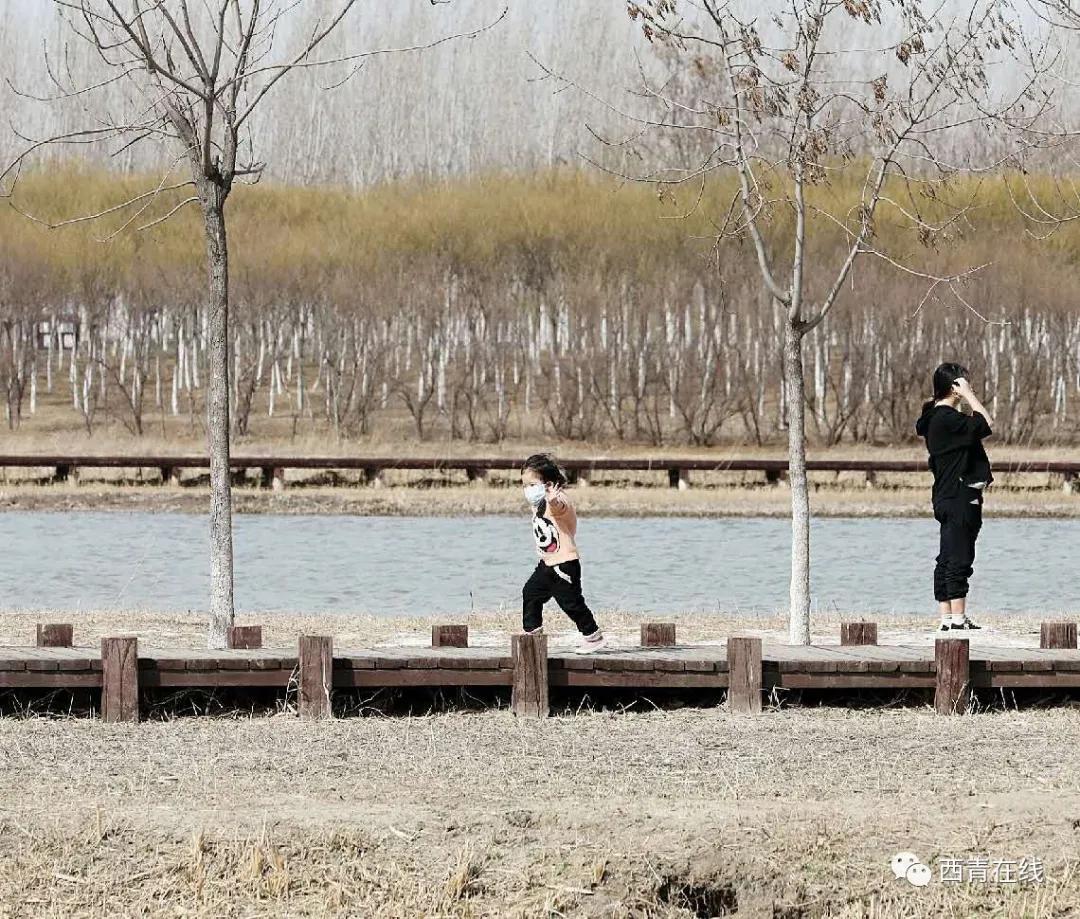 天津即将完工的公园,天津新开放的公园