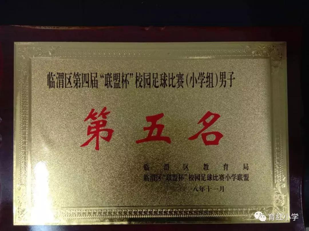 育红小学足球比赛,育红小学2024运动会