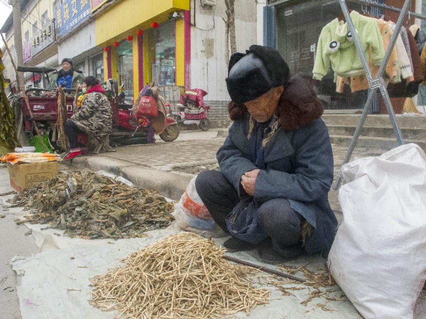 老人说卖的叫“银丝”,我没见过,看看是啥?