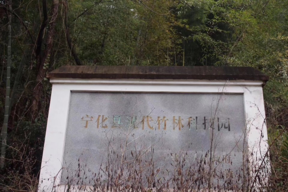 绿韵泉竹酒图片,绿韵泉竹酒是什么酒