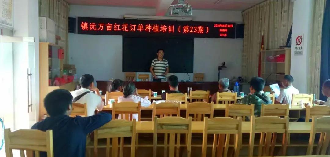 创业故事分享卖花,创业故事茶叶