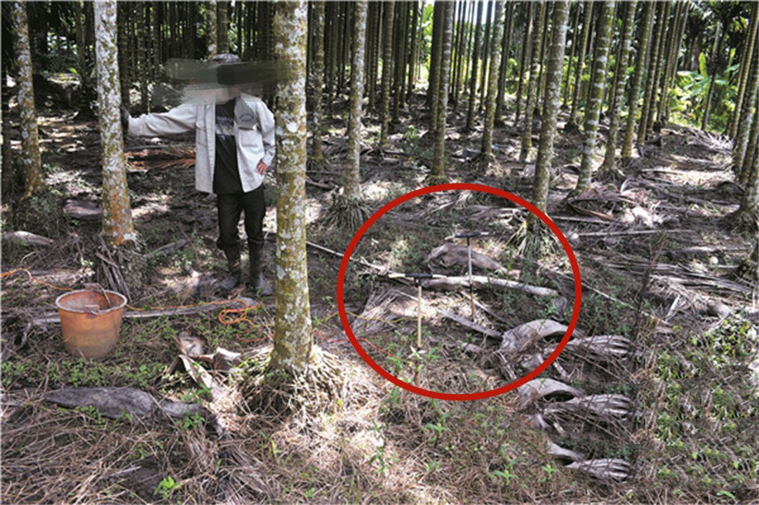 在农村电蚯蚓一天能赚多少钱,电蚯蚓一年能挣多少钱