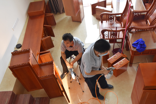 如何消除甲醛对人的危害,担心甲醛危害专家教你除醛小妙招