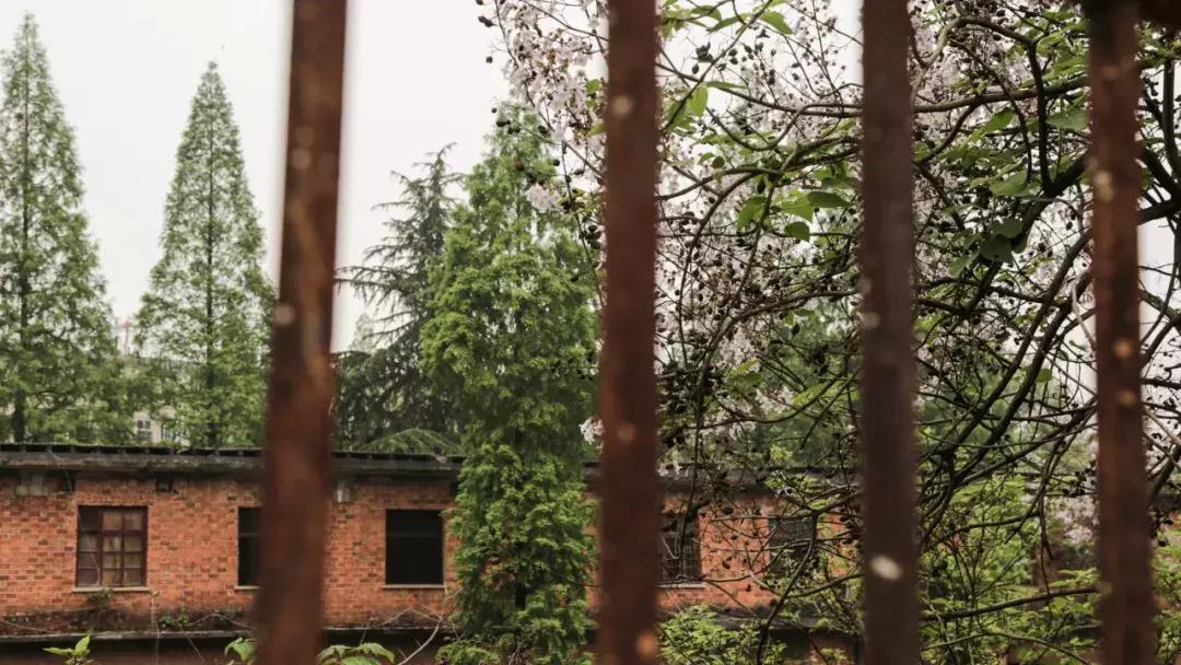 咸宁*毛老**巾厂的生活，几代人的青春