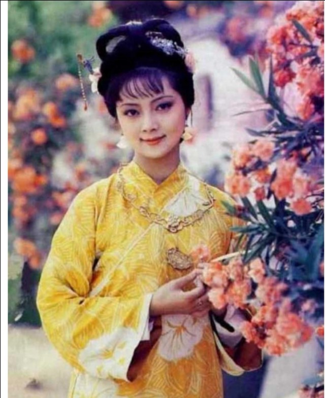 醉迷红楼金陵十二钗（正、副、又副册）