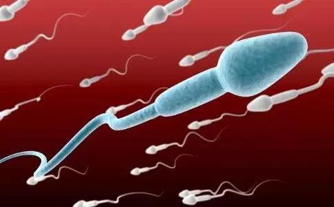 做试管之前要检查精子碎片吗,做试管会洗掉精子碎片吗