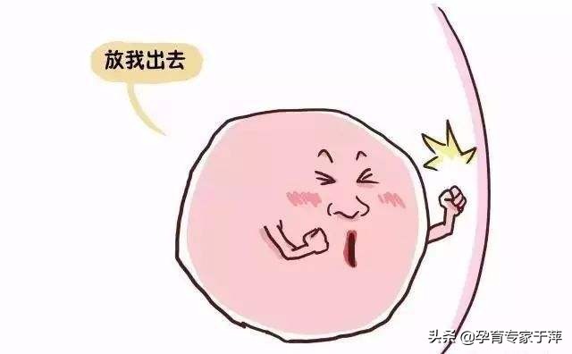 于萍,于萍最近的消息