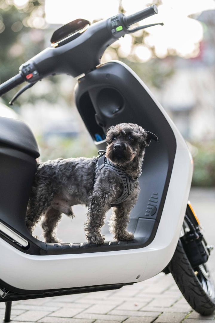 大灯炫酷有型,九号e100大灯效果