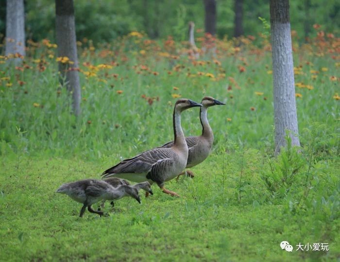 北京遛娃网红打卡地,北京又添一波遛娃新去处