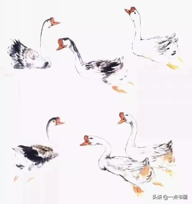 鹅画法可爱简单在陆地上行走,图文教程鹅写意画法