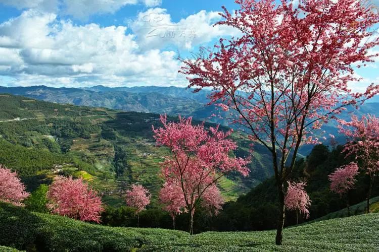 秋季人少景美的小众旅行地,最清静优雅的旅游之地