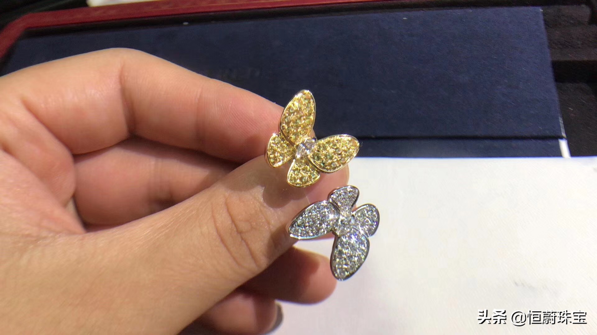 梵克雅宝蝴蝶胸针,梵克雅宝的历史著名胸针设计