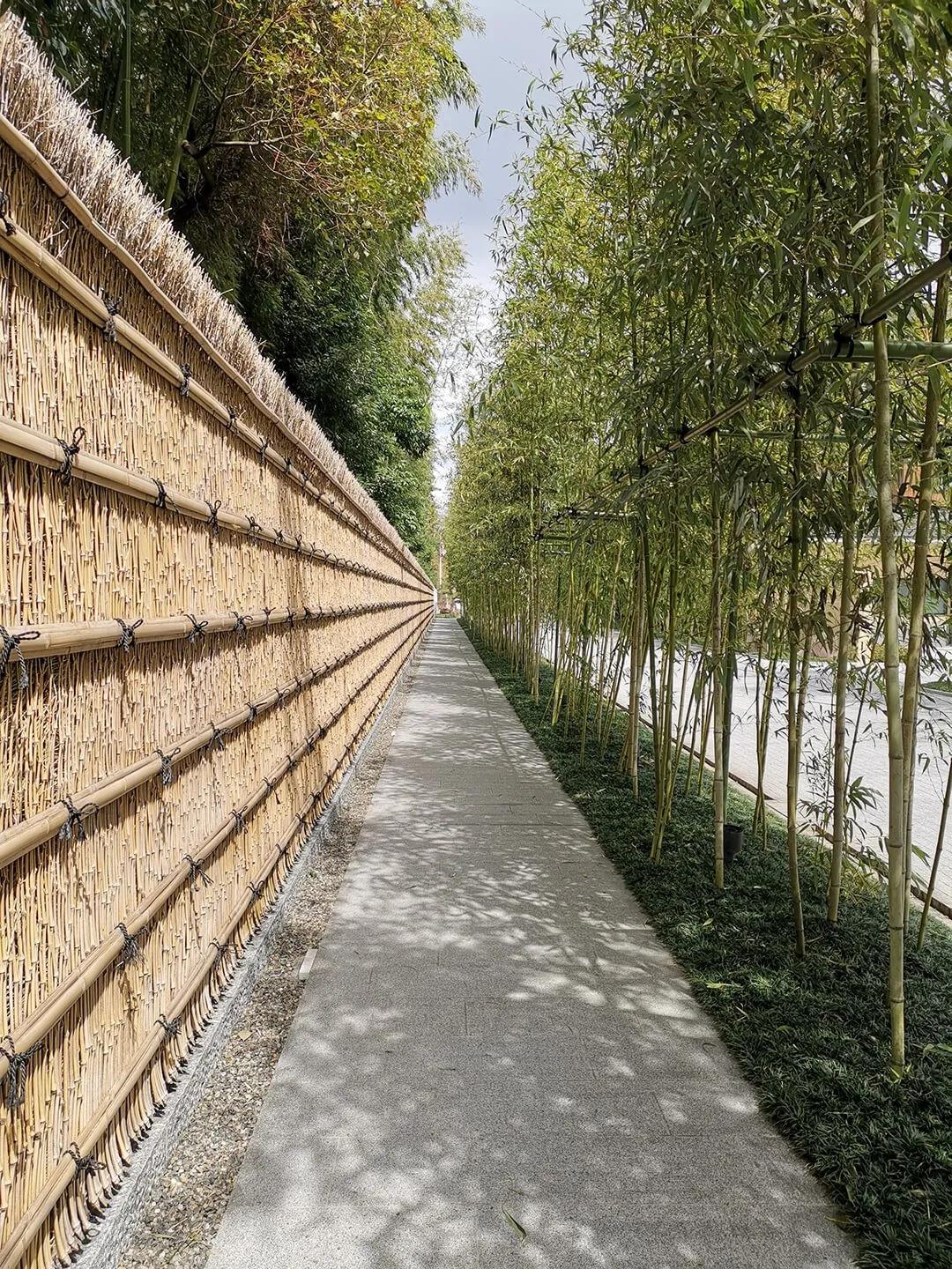 鎱㈣揪涓栫晫,鎱㈡父鍏ㄤ笘鐣岀浜屽鍦ㄧ嚎瑙傜湅