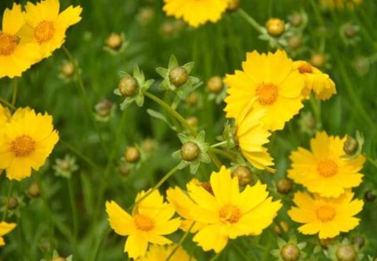 沐浴露推荐不假滑测评,自由自在奢华美肌沐浴露测评