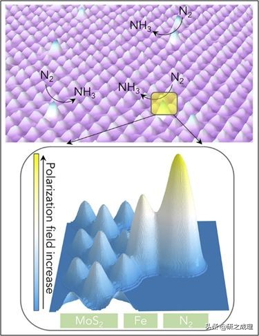 鍌寲蹇姤鏈熷垔,鍌寲鏉傚織灏侀潰