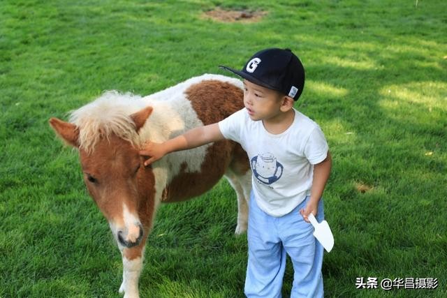 北京紫玉山庄有什么好玩的,紫玉山庄旅游度假