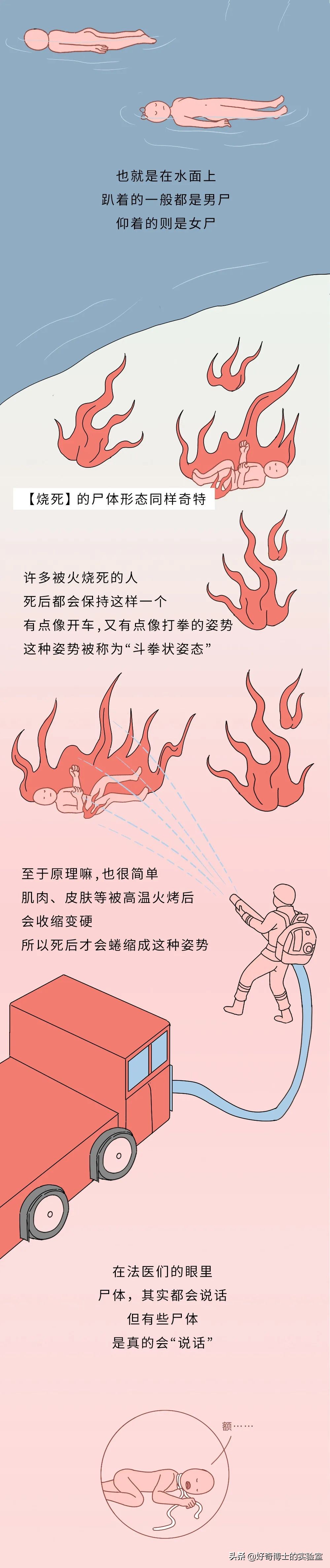 没有人比我更懂原话英文,没有人比我更懂鬼畜原版