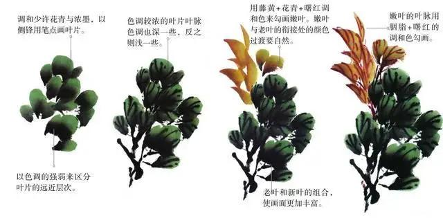 学习写意牡丹画的方法,学习写意牡丹画的步骤