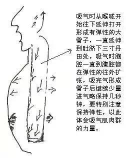 歌唱家颤音技巧和发声方法,唱歌技巧唱不出高音怎么练