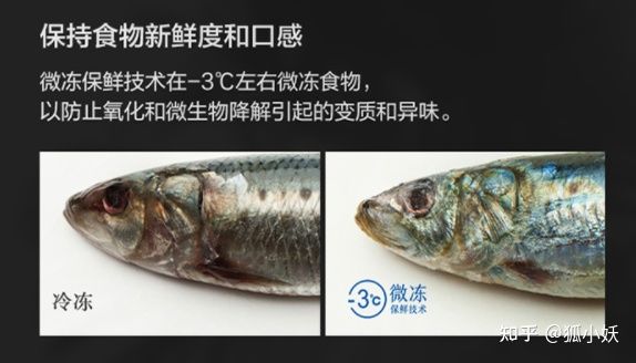 2022年卡萨帝冰箱最全选购攻略,多门冰箱推荐2023高端冰箱