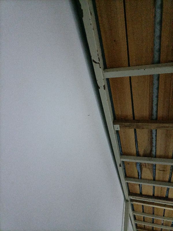 你的大学室友怎么样（一）？