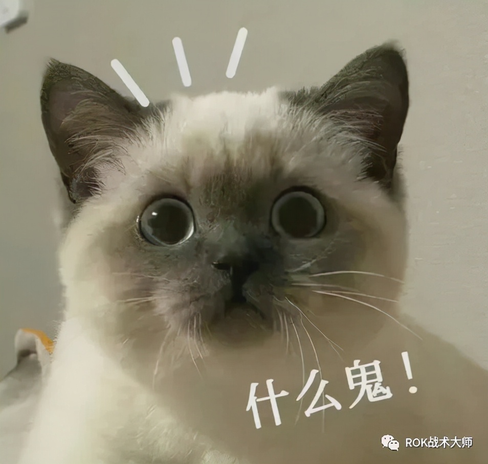 万国觉醒重伤率怎么算,万国觉醒哪个统帅可以死亡变重伤