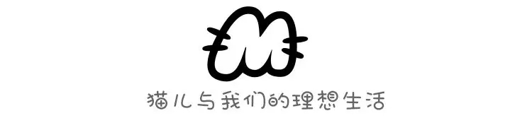 猫咪发情怎么办？养猫新手必读–发情照顾总整理