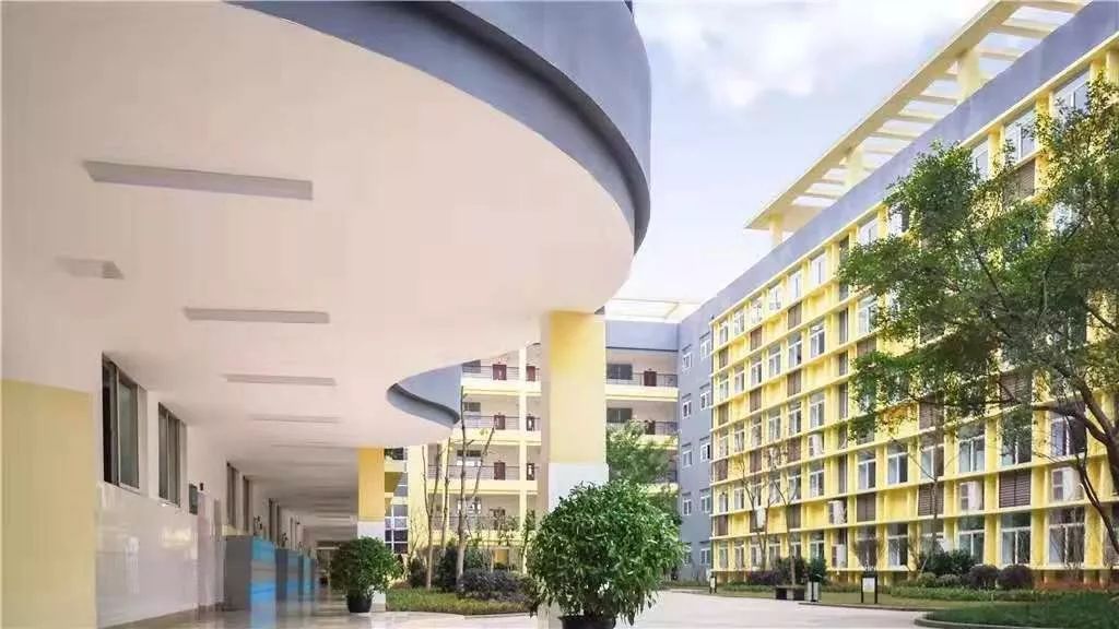 沙坪坝最好的中学校,沙坪坝区初中学校排名