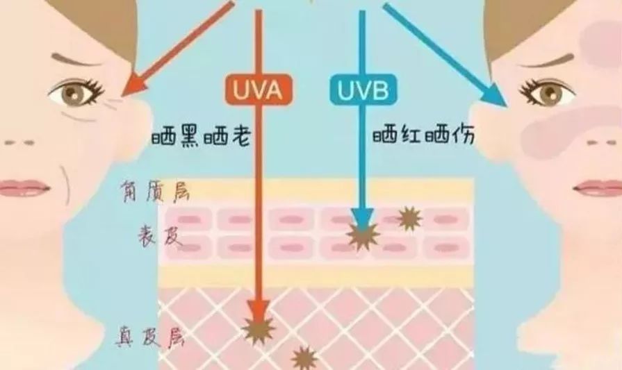 大s从18岁到44岁的容颜变化,大s瘦的时候年轻时的盛世容颜