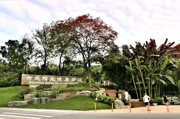 我说龙泉驿，你说好安逸！这座城的命运，正被幸福改写