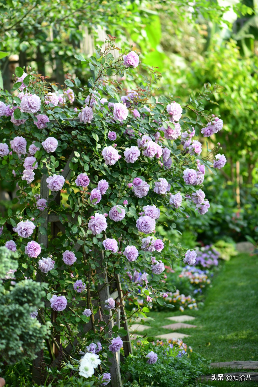 愿时光静止,愿时光静止在这一刻