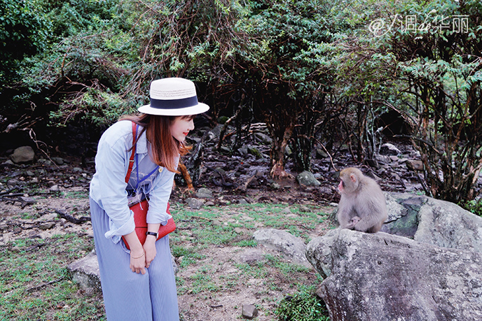 日本大阪距东京多摩市多远,日本大阪离海边有多远