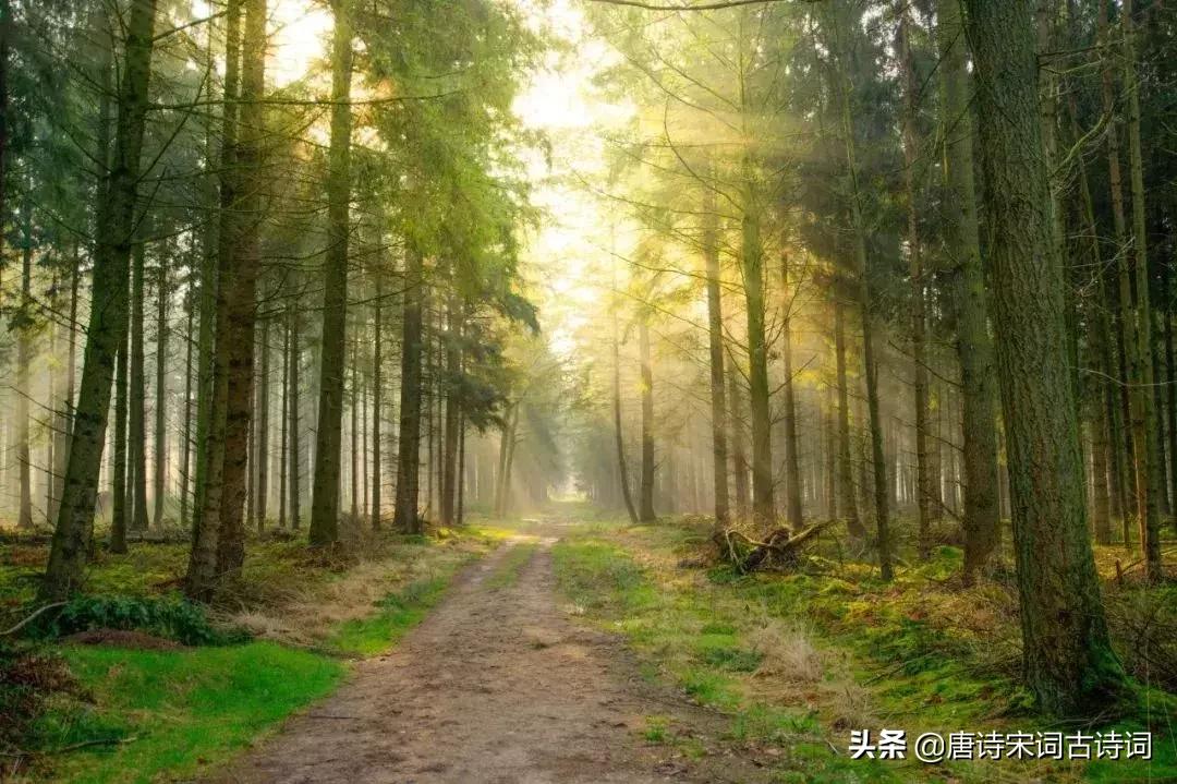 十首闲适的诗句,关于田园生活的诗词100首