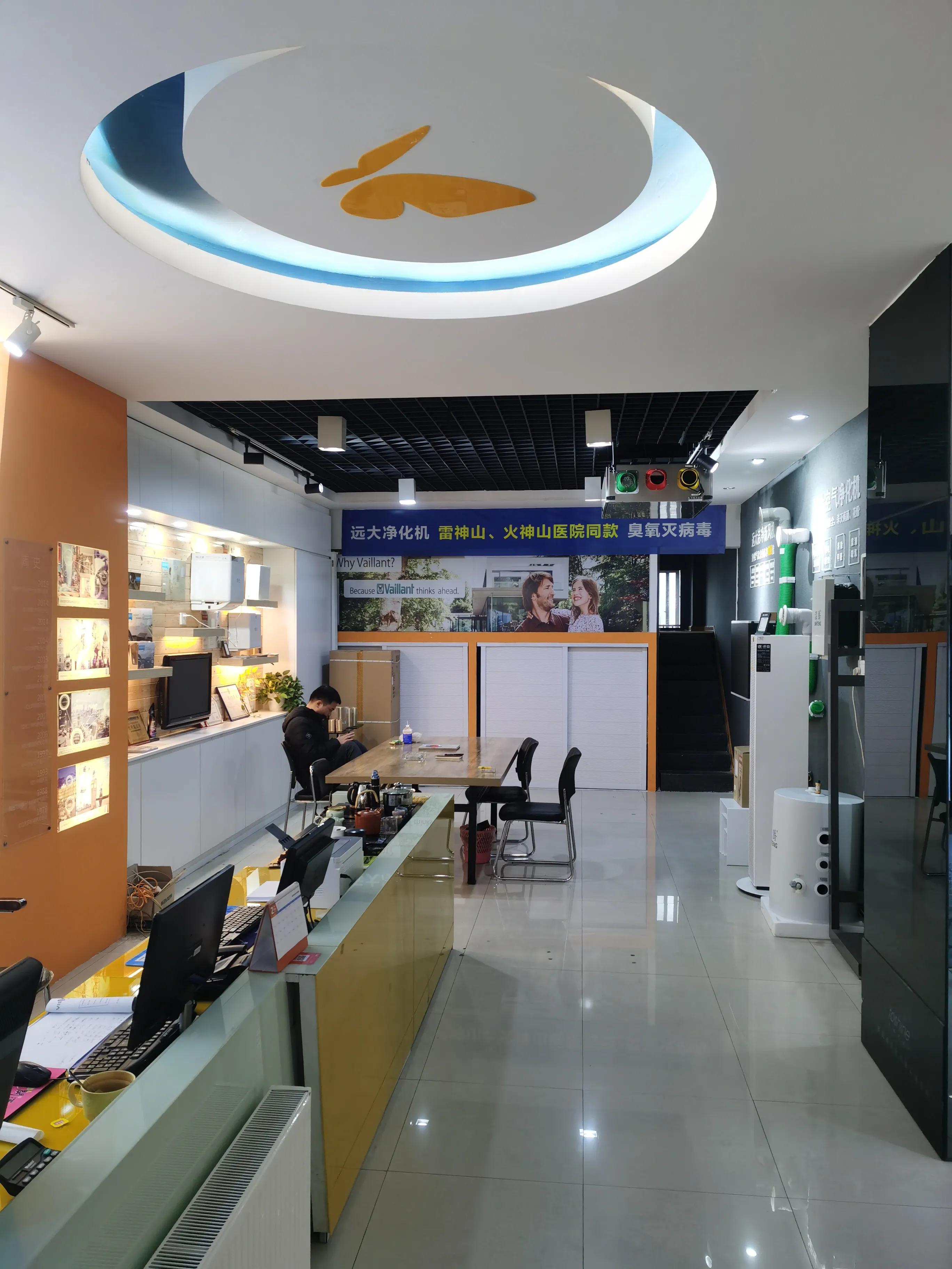 为什么不建议买威飒汽车,菲斯曼和威能价格差多少