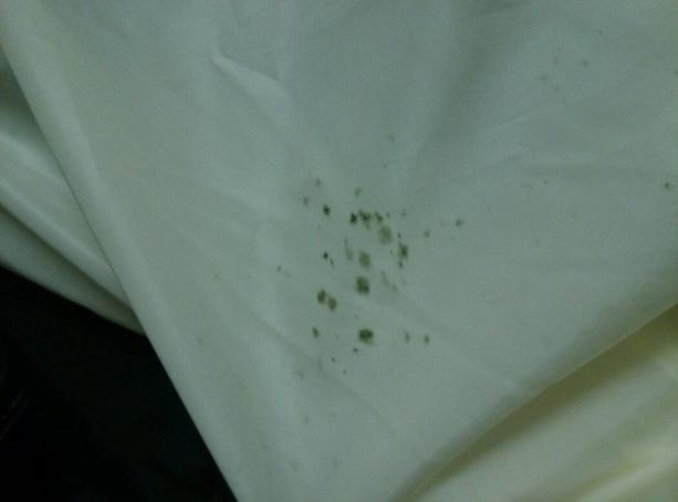 天天下雨衣服怎么可能会干,雨一直下怎么防止衣服发霉