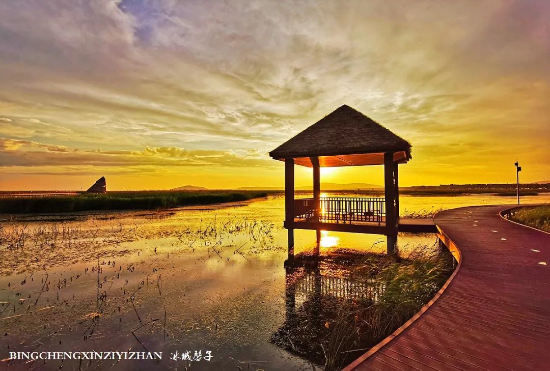 再返富锦，为着那份飘着稻花香的“湿”意约定