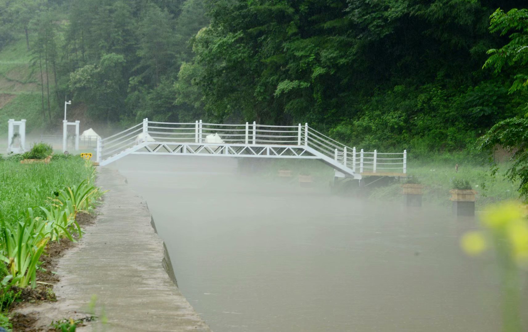 六月回忆童年,六月回忆母校