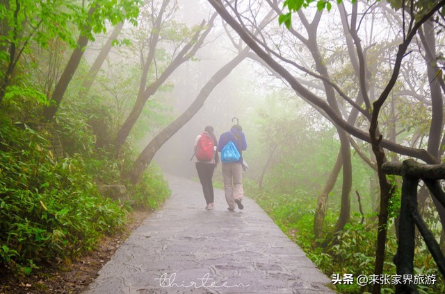 大美张家界之天门山狐仙,张家界旅游天门狐仙值得看吗