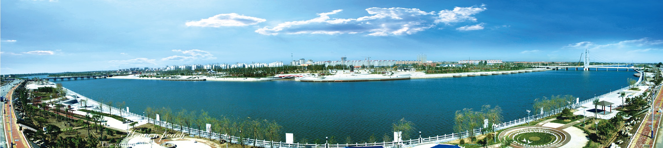 中国冬枣之乡沾化下洼,中国冬枣之乡大荔