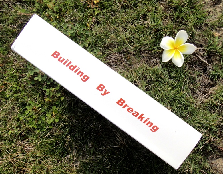 出行的最佳伴侣,出行伴侣推荐