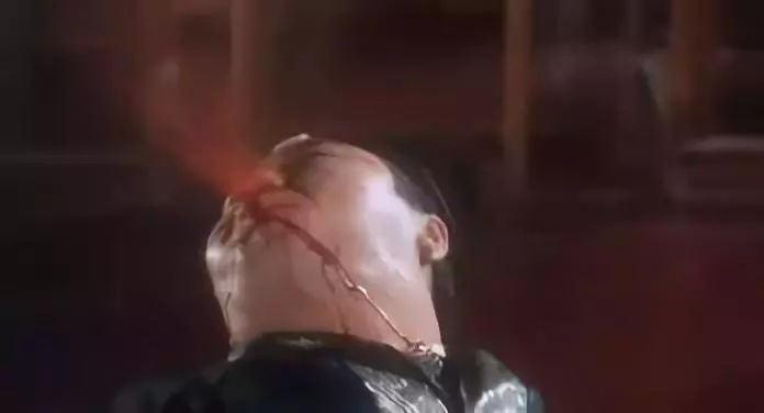 带你了解不一样的世界,带你了解不一样的明星