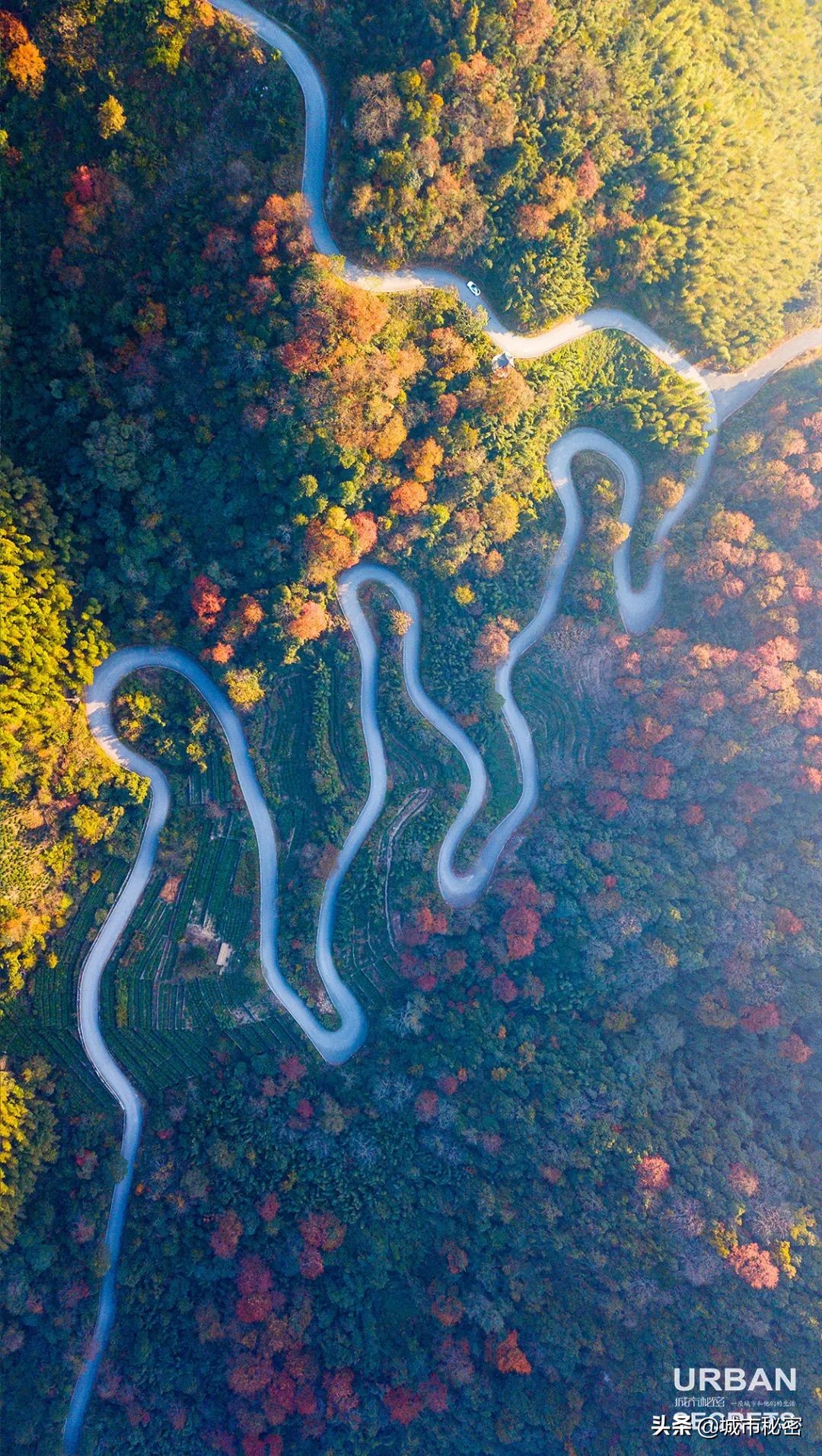富阳是什么之乡,富阳原来属于哪个市