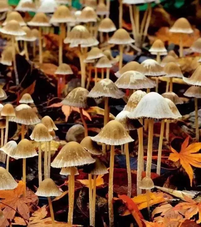 值得孩子看的4本经典绘本,3-6岁必看十本绘本清单