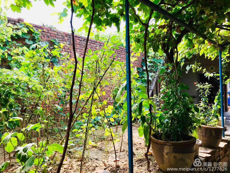 新安县铁门镇庙头村新旧照片对比,新安县庙头村的老照片