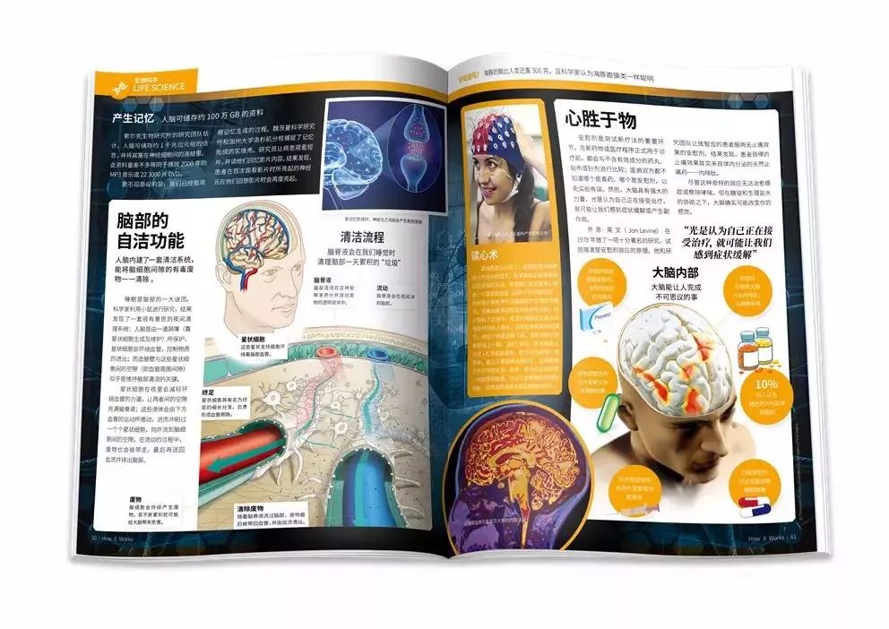 人类最致命的天敌,人类自相残杀的基因