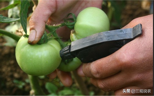 植物生长调节剂催熟,有催熟作用的植物生长调节剂