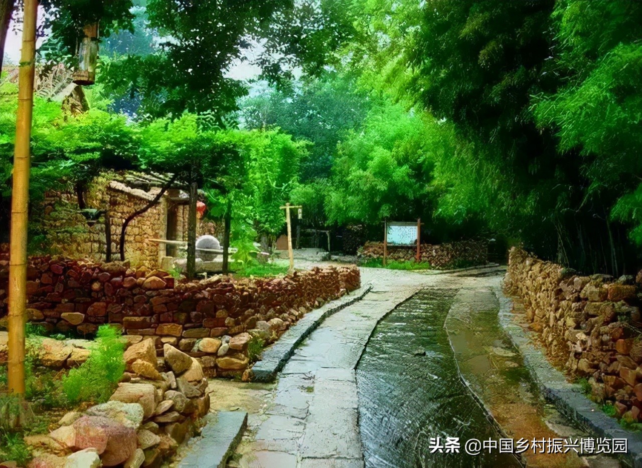 乡村振兴典型项目,乡村产业振兴十大标杆模式