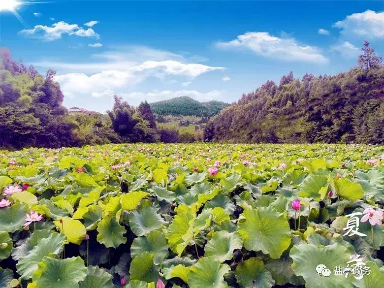 盐亭40年的样子,40年翻天覆地的巨变