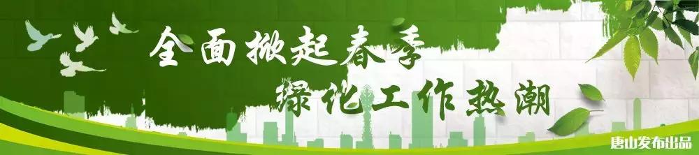 @唐山人，本周热点来了！校长陪餐、“打假”变“假打”……速看！